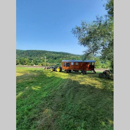 Apartament Autarkes Tiny House Mit Rheinblick Rumikon Zewnętrze zdjęcie
