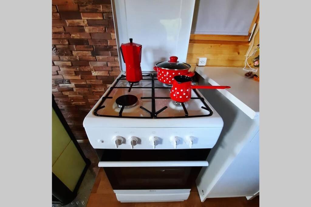 Apartament Autarkes Tiny House Mit Rheinblick Rumikon Zewnętrze zdjęcie