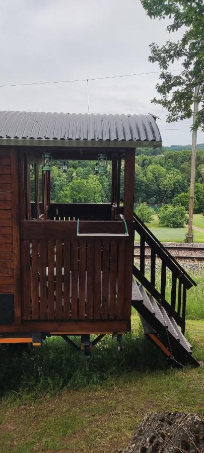 Apartament Autarkes Tiny House Mit Rheinblick Rumikon Zewnętrze zdjęcie