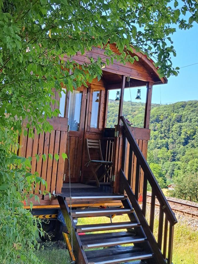 Apartament Autarkes Tiny House Mit Rheinblick Rumikon Zewnętrze zdjęcie